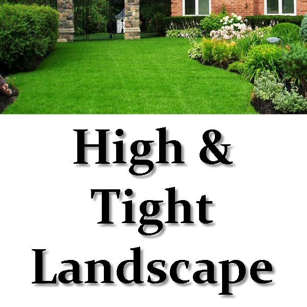 High & Tight Landscape
