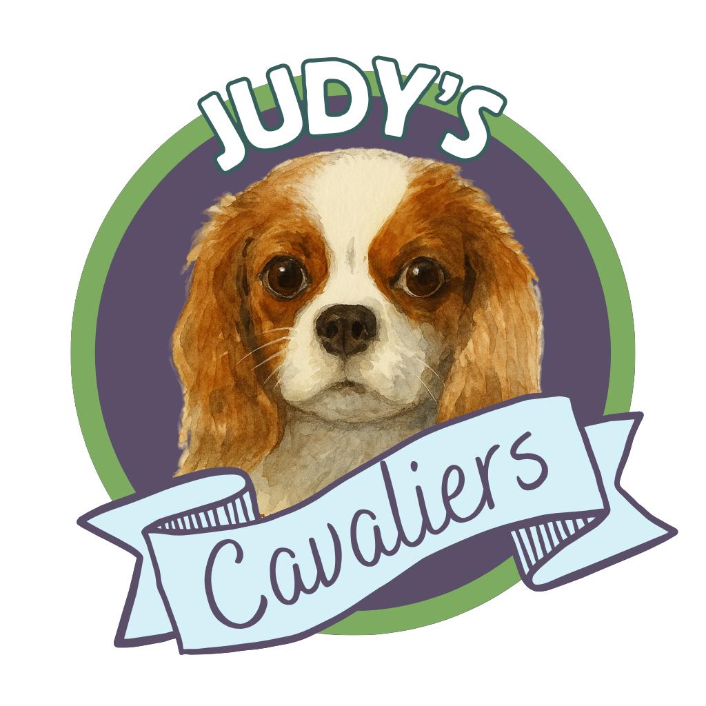 Judy's Cavaliers