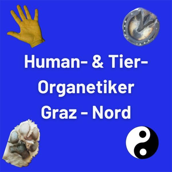 Human - & Tier-Organetiker - Thomas Karl Sternad