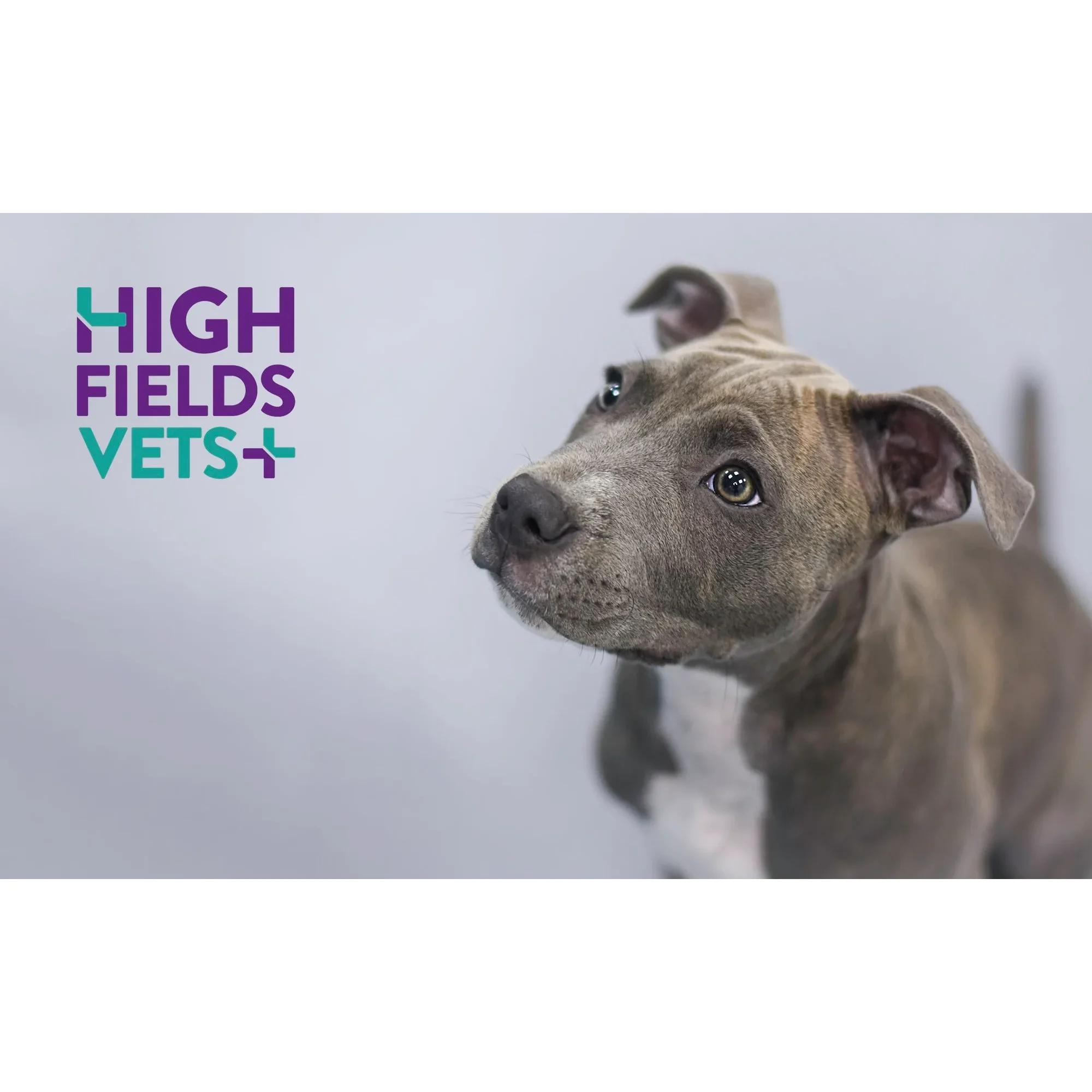 Highfields Vets