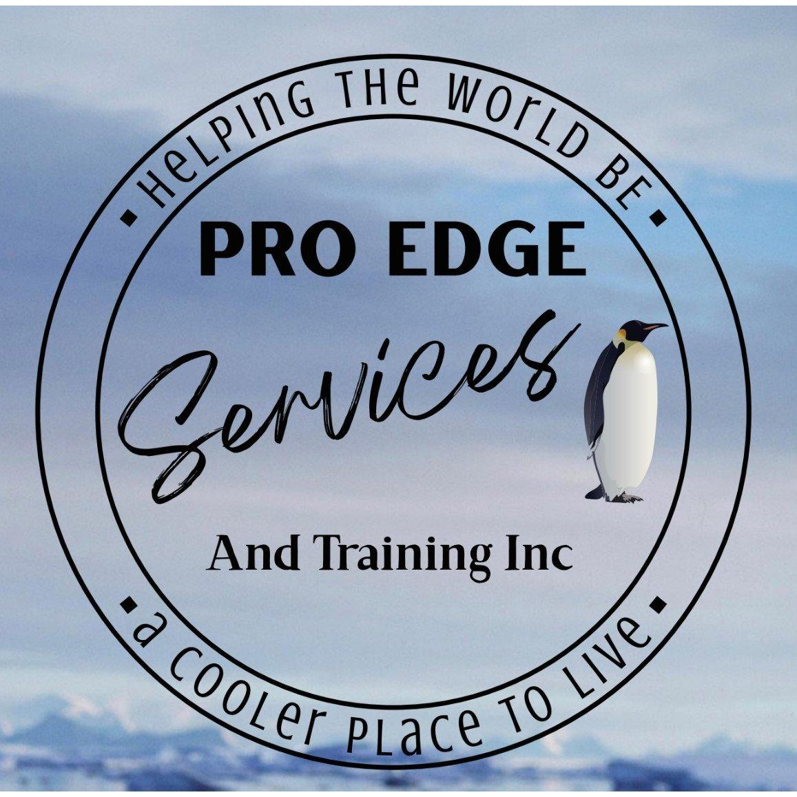 Pro Edge Services and Training, Inc