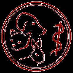 Dr. Irmgard Tiefenthaler