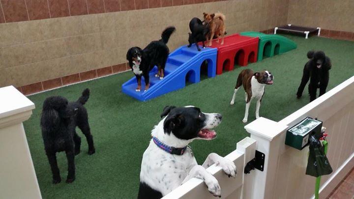 The Ultimate Pet Lodge LLC