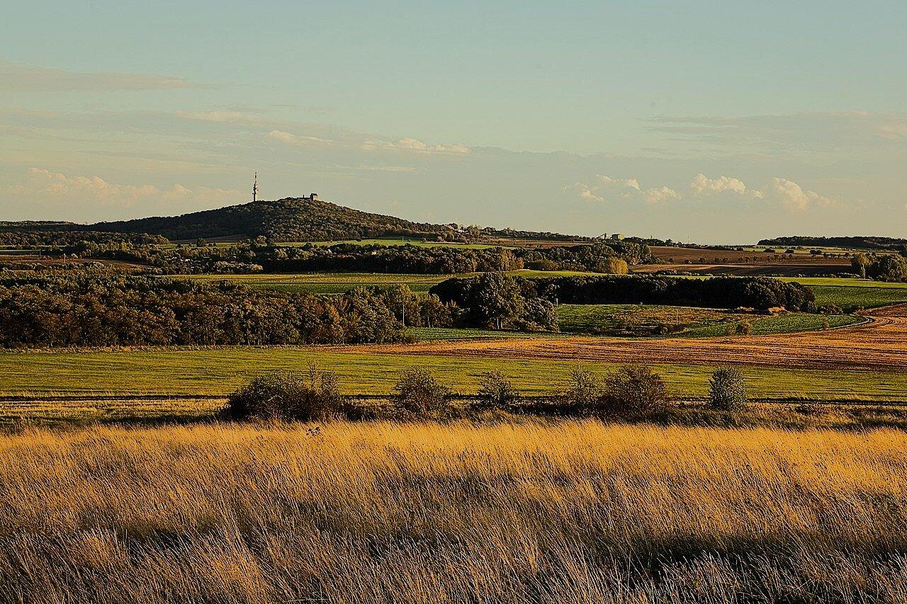 CJR Dienstleistungen