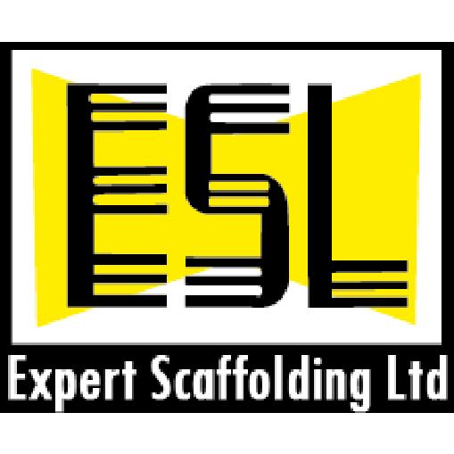 Expert Scaffolding