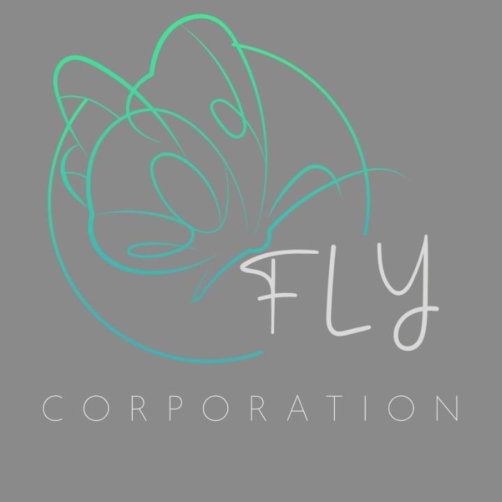 FLY Corporation