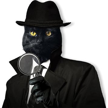 Nationwide Judicial Process Servers