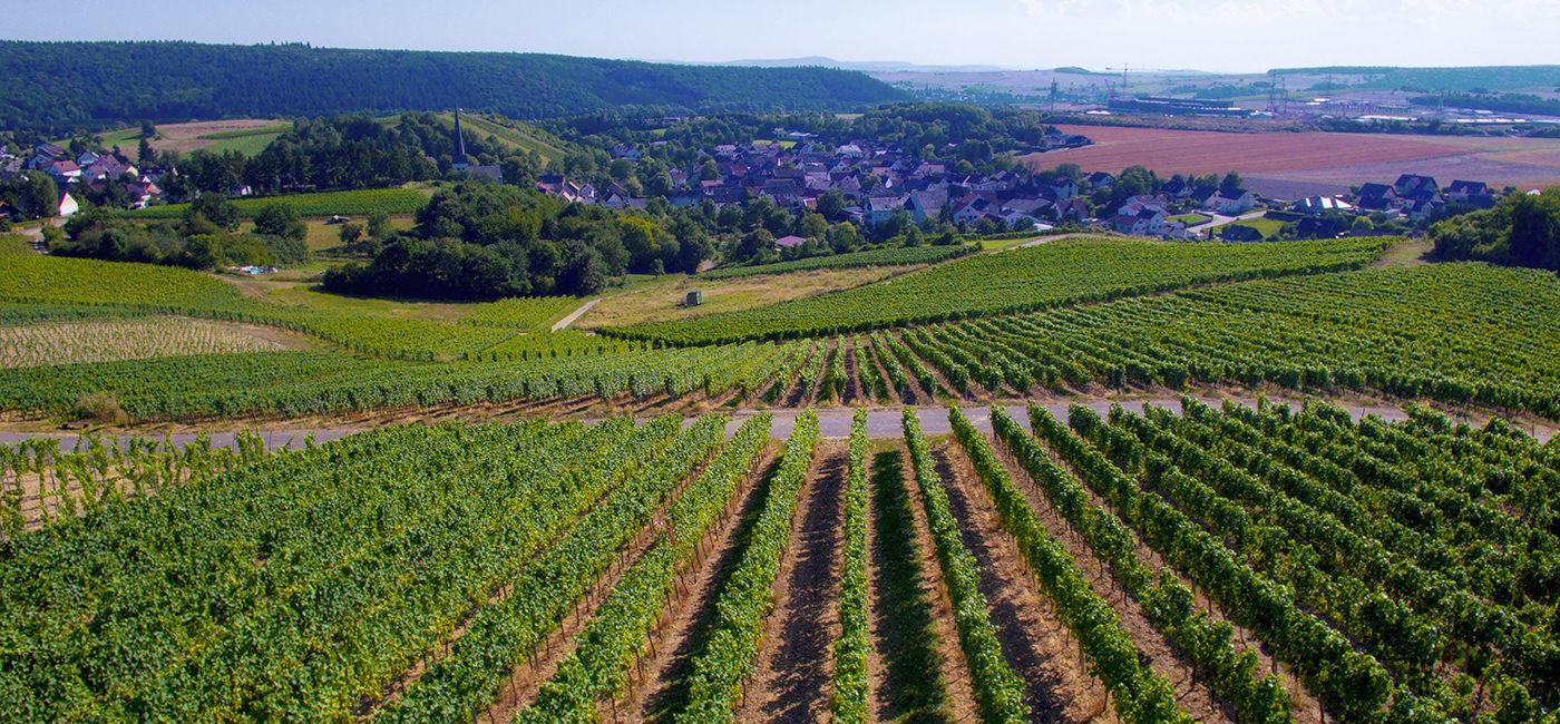 Weingut Gunther Merg