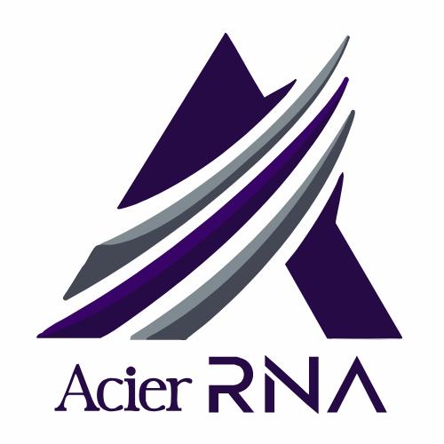 Acier RNA