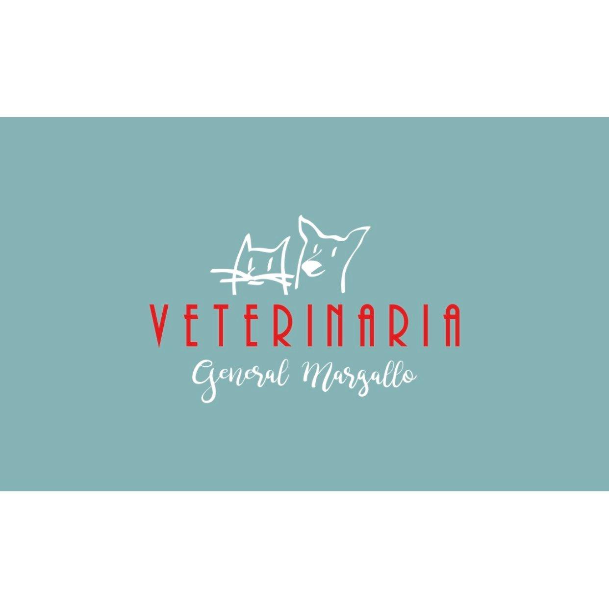 Clinica Veterinaria General Margallo
