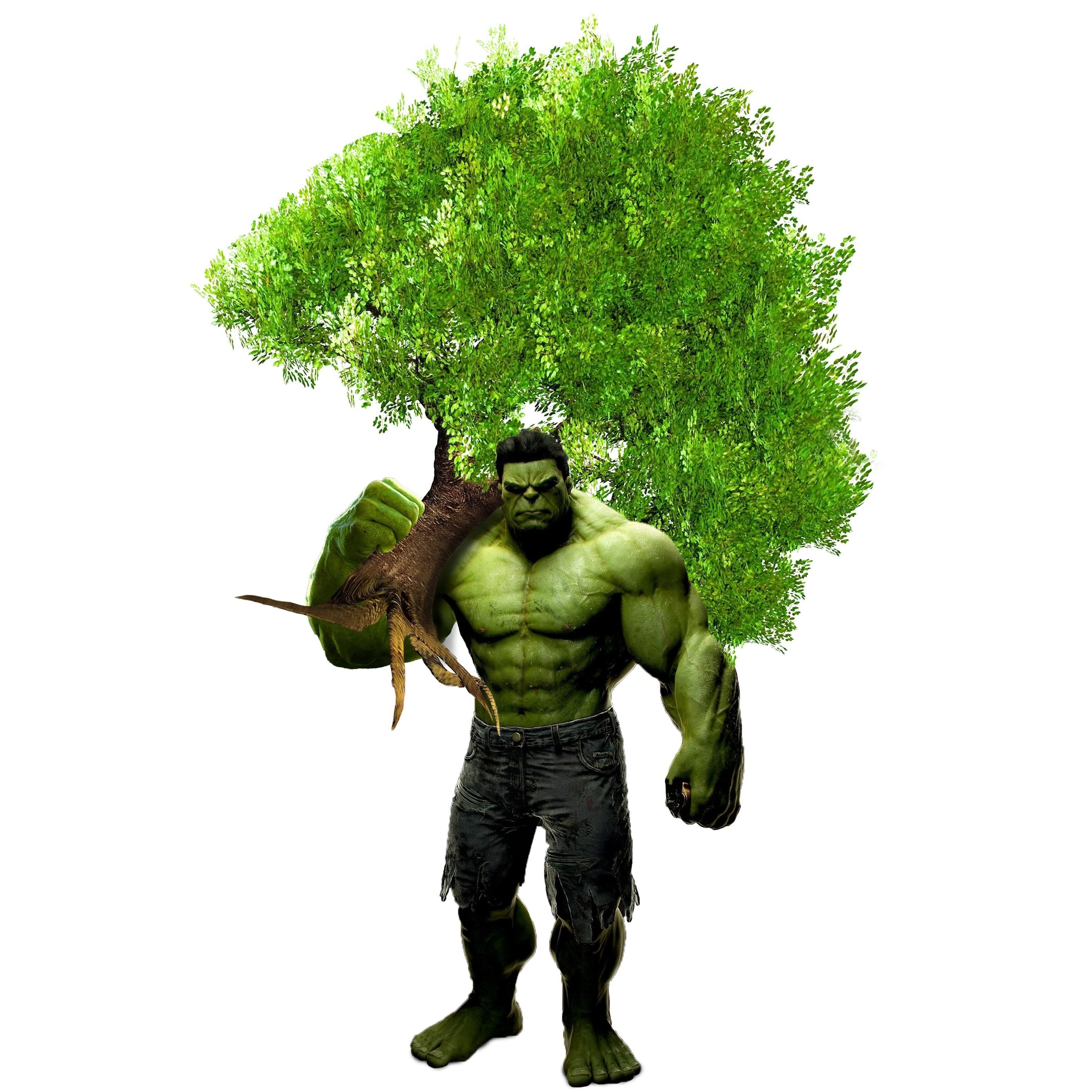 Absolute; Tree and Stump Inc