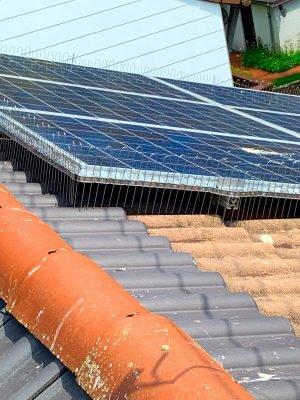 Thomas Veh - Schädlingsbekämpfung