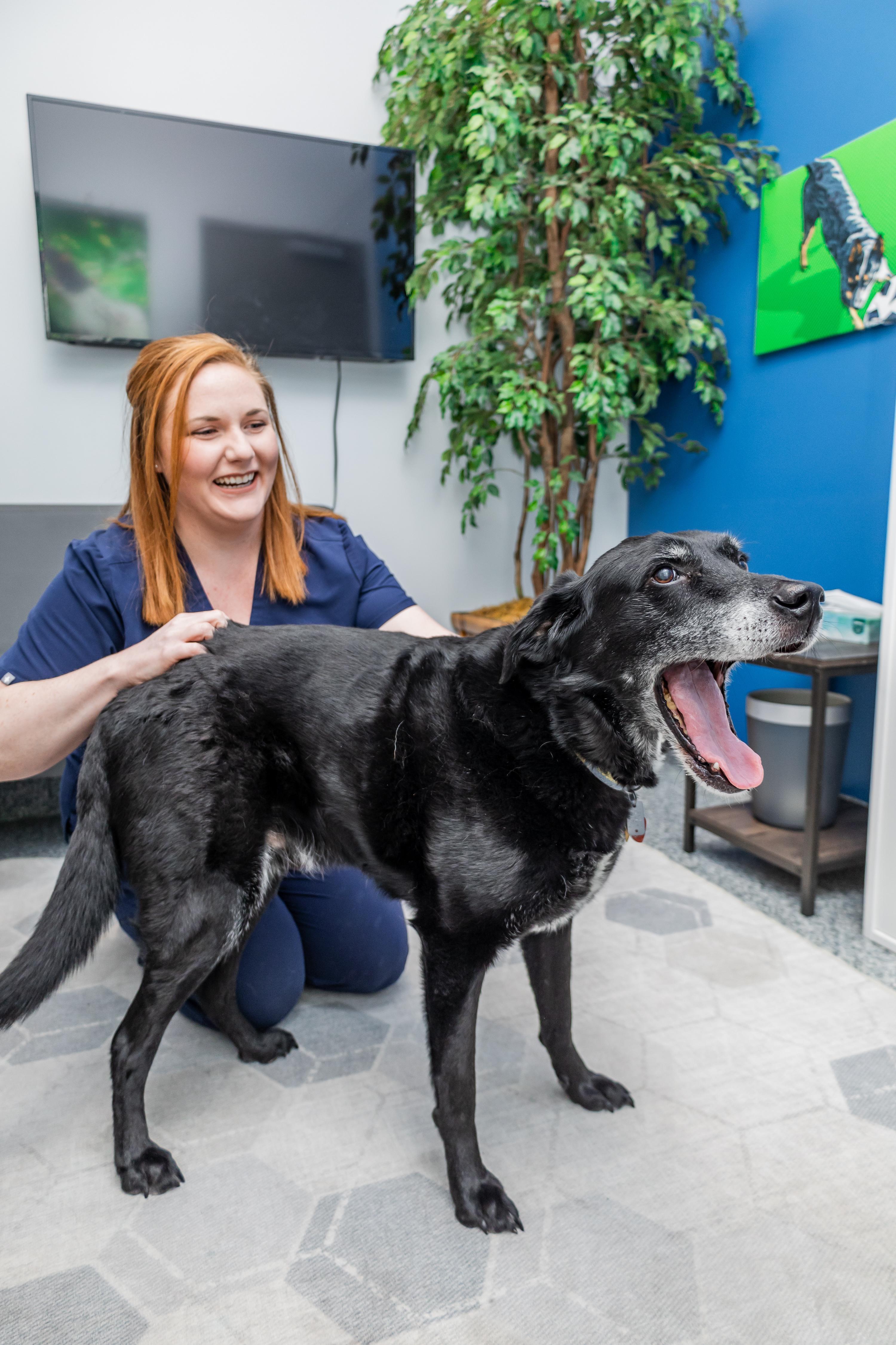 PetVet365 Pet Hospital Pittsburgh/North Fayette