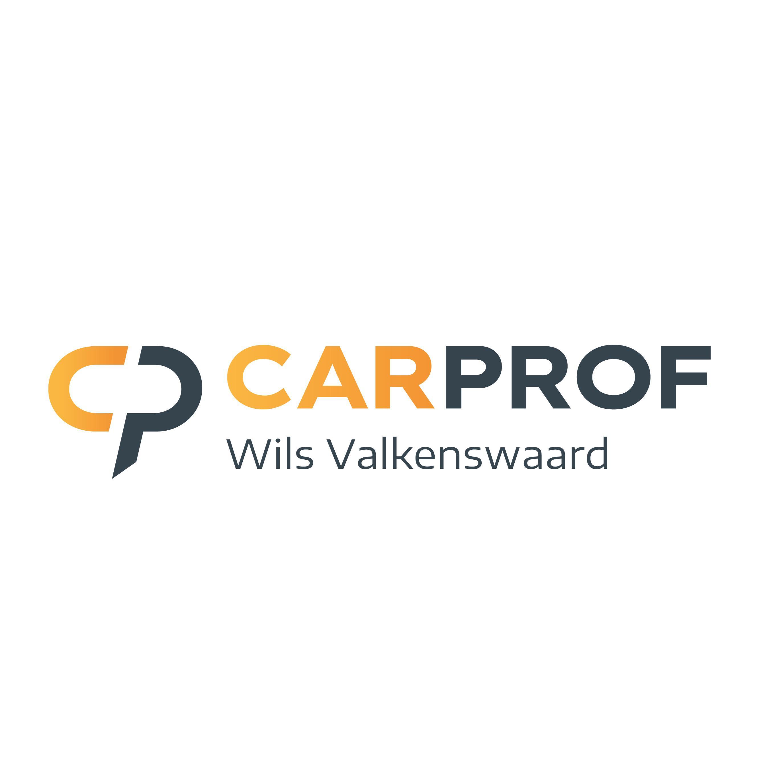 Autobedrijf Wils | CarProf | Skoda en Seat specialist | Garage voor alle merken