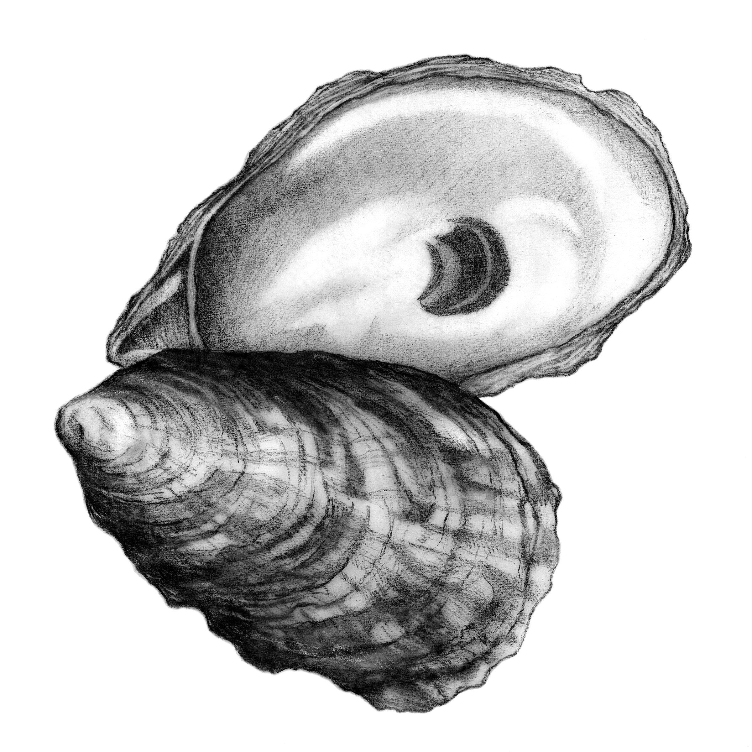 The Wicked Oyster