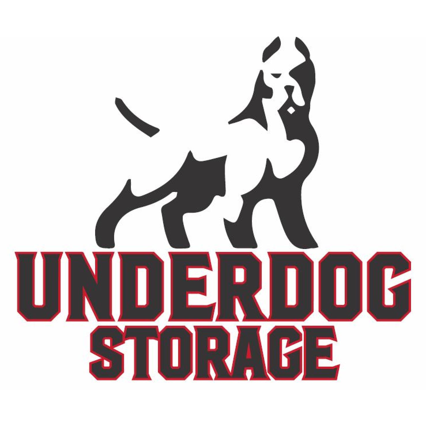 Underdog Storage - 4200 State RD 44