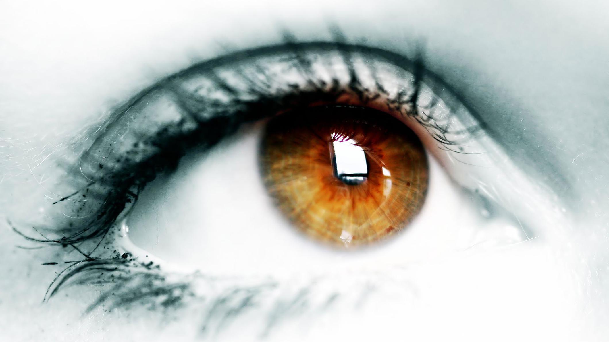 SuccessPro Coaching&Formation