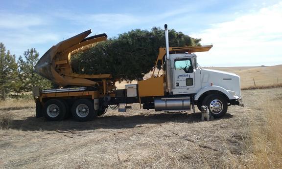 Bowman Tree Moving, Inc.