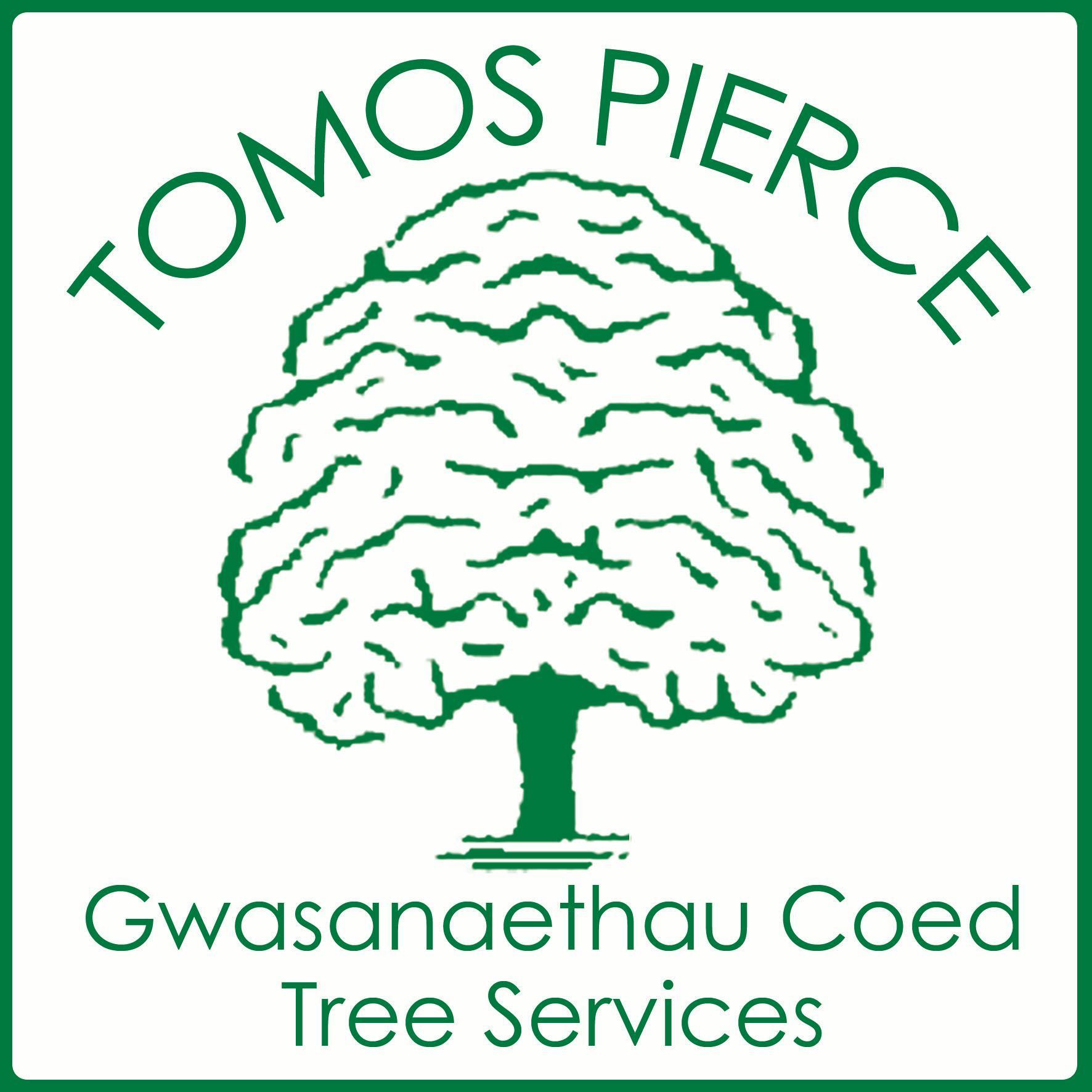 Gwasanaethau Coed Tomos Pierce Tree Services