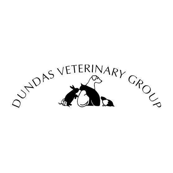 Dundas Veterinary Group