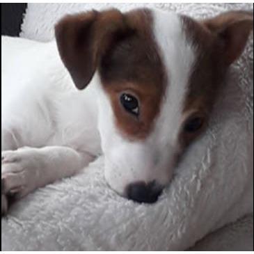 Rechtsanwalt Jörg Schliefke