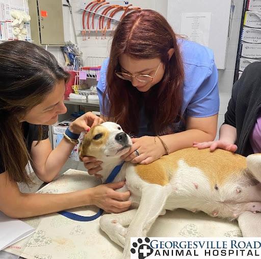 Georgesville Road Animal Hospital
