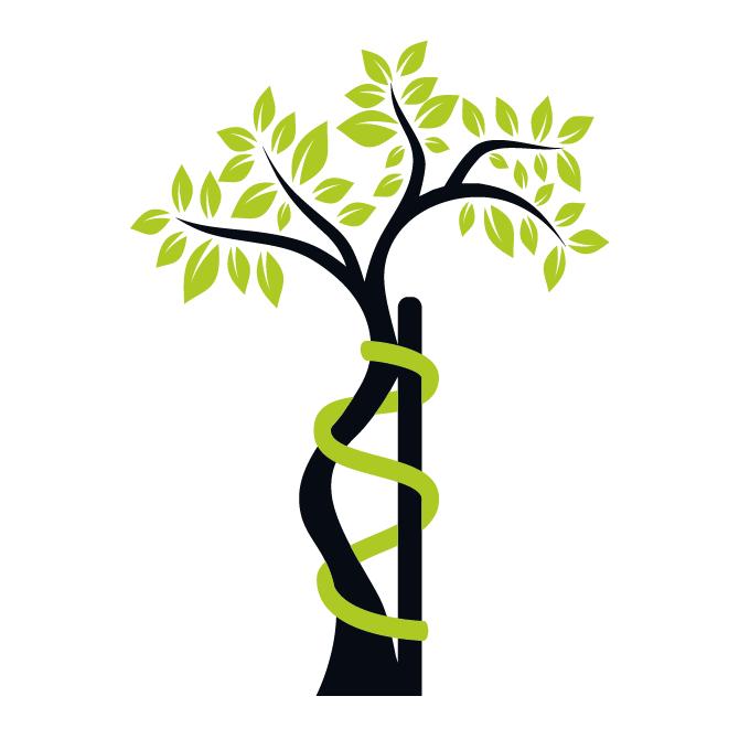 Orthopädie München Dr. Burghardt | Orthopäde für Kinder und Erwachsene