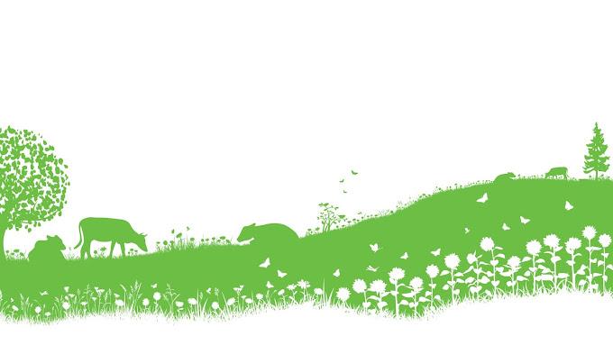 BioKaufmannsladen - BioLebensmittel