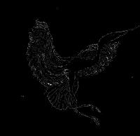 Biodanza Rodrigo Toro