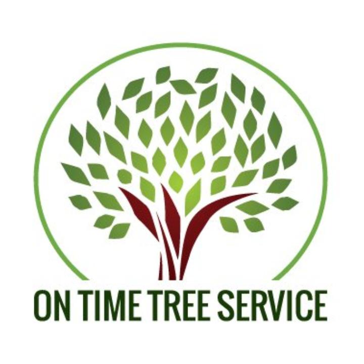 On Time Tree Service