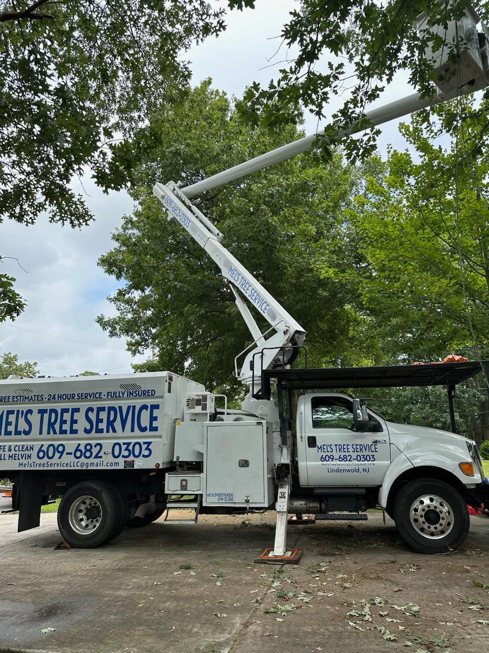Mel's Tree Service, LLC