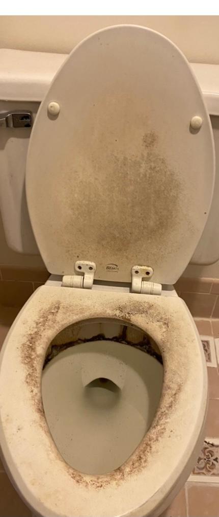 Cleaning by Lorena, INC