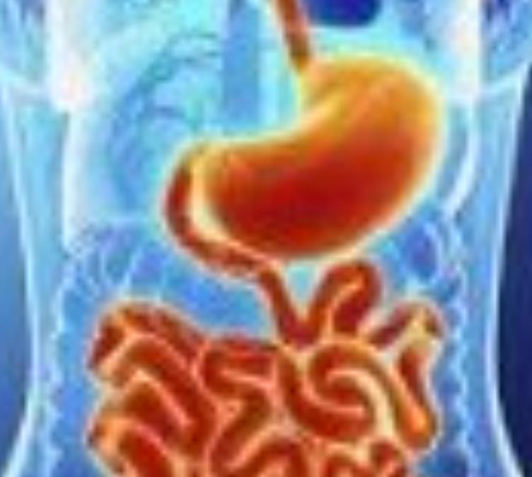 Mellman Robert L MD Facp Facg