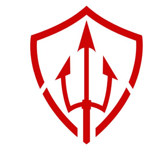 Triton Sliding Door Repair Company