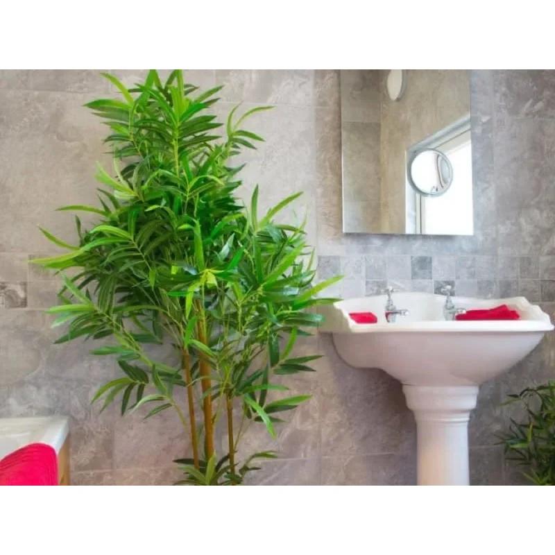 Plymouth Rooms to Rent