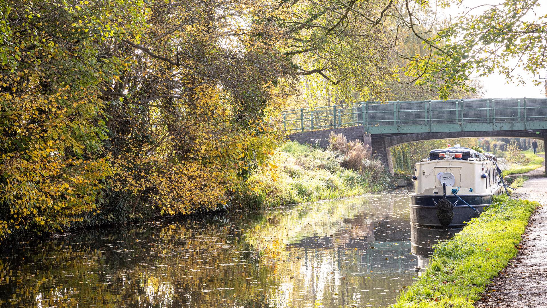 The Plume of Feathers