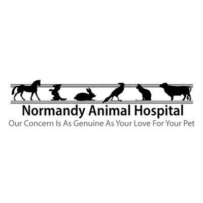 Normandy Animal Hospital Inc
