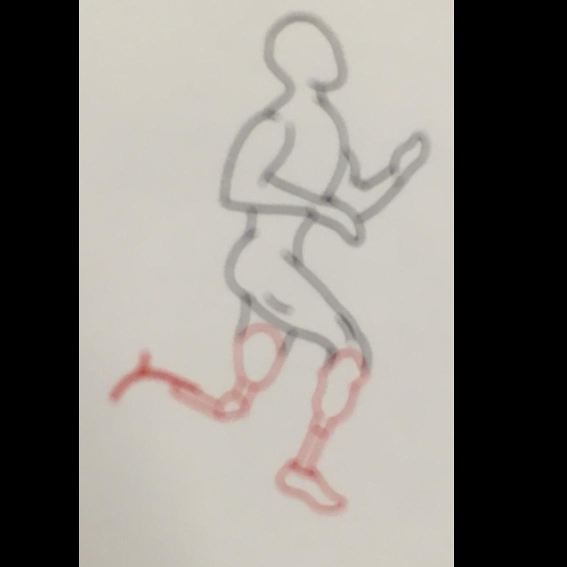 Falk Prosthetics & Orthotics, Inc.