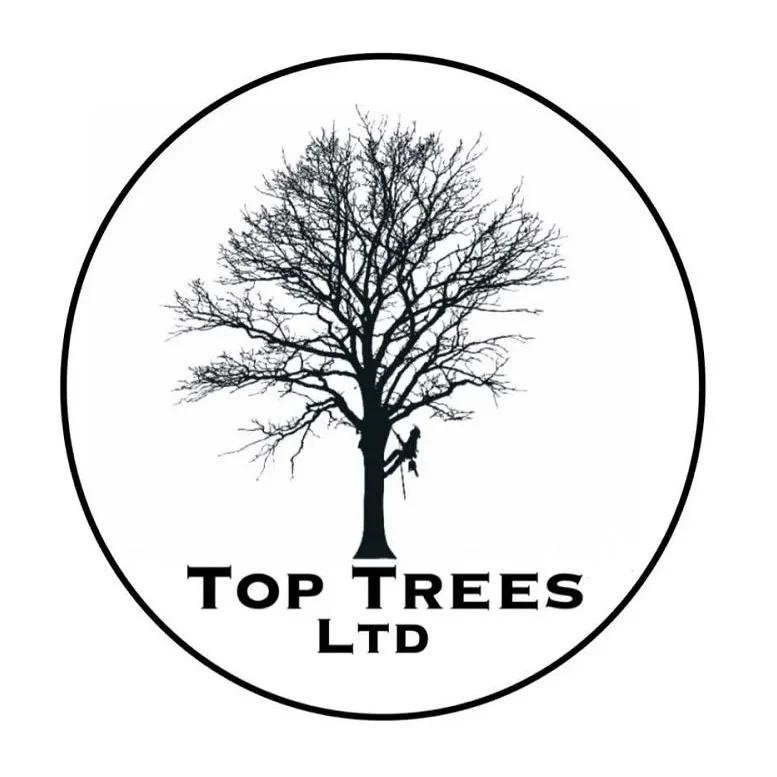 TopTrees Ltd