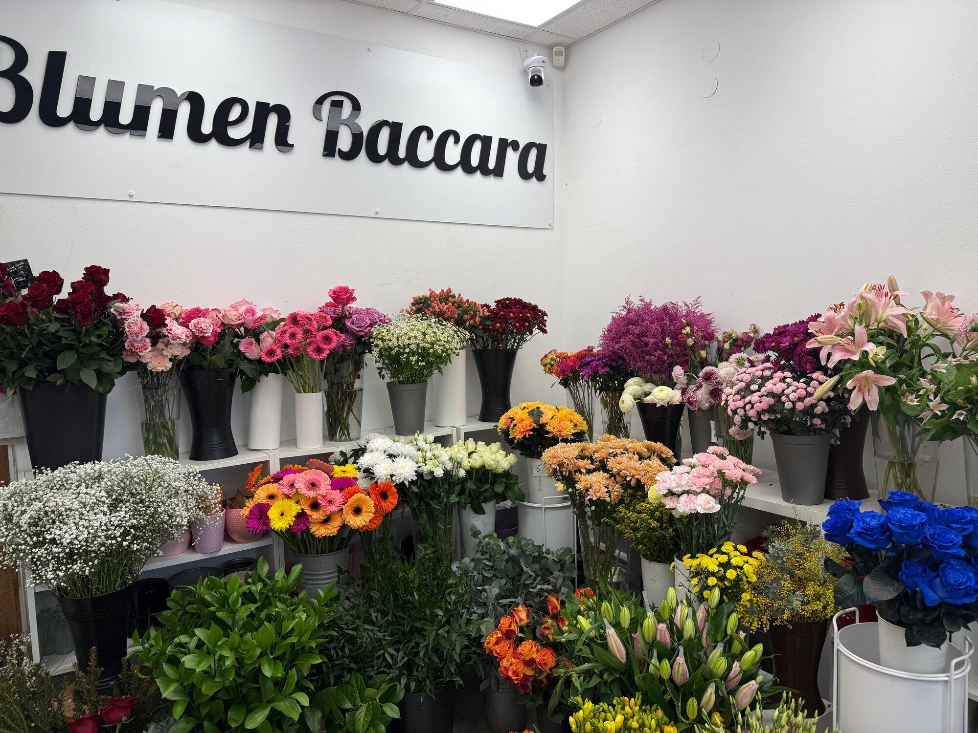 Blumen Baccara Ingolstadt