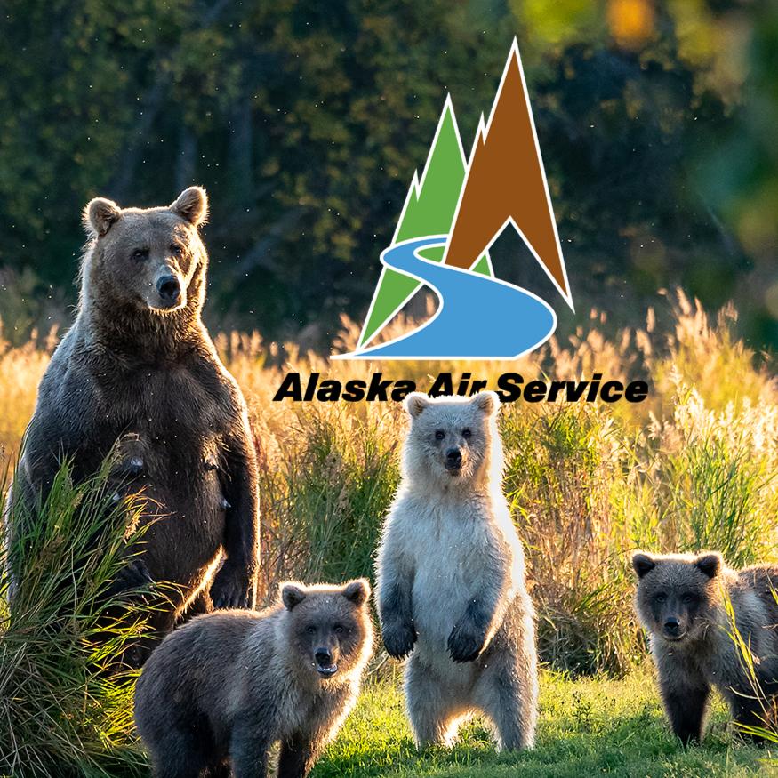 Alaska Air Service
