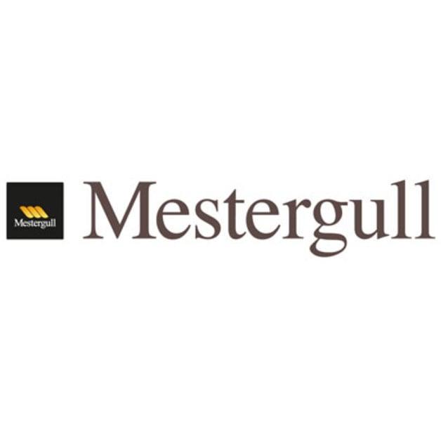 Mestergull Sandvika Storsenter