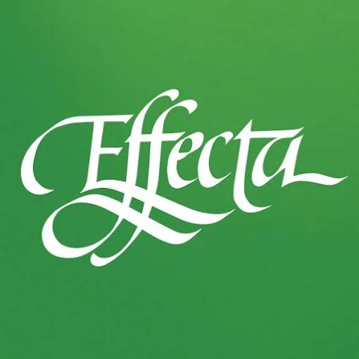 Auktionsbyrån Effecta AB