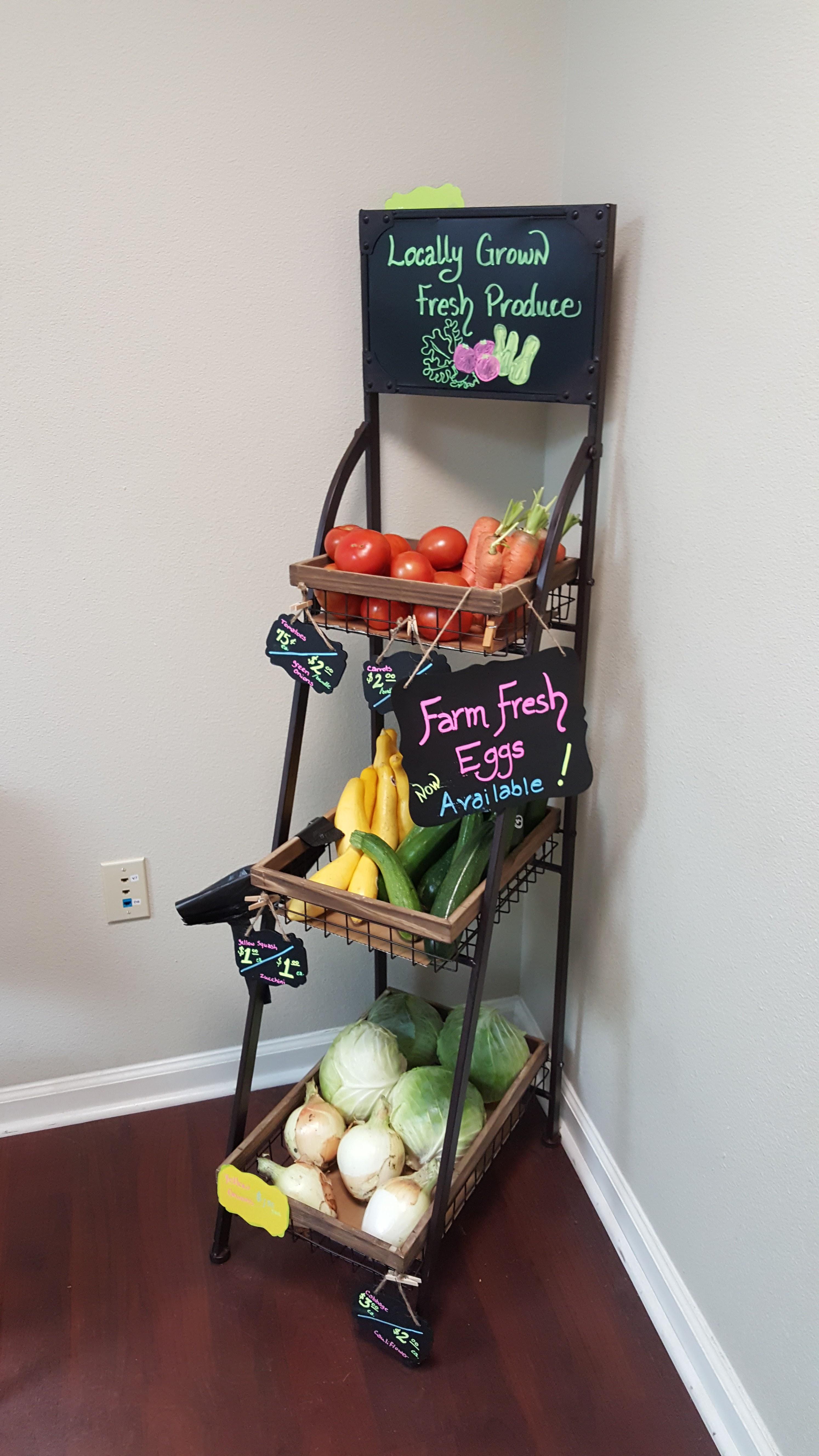 Future Focus Family Medicine--ASAS Health