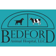 Bedford Animal Hospital