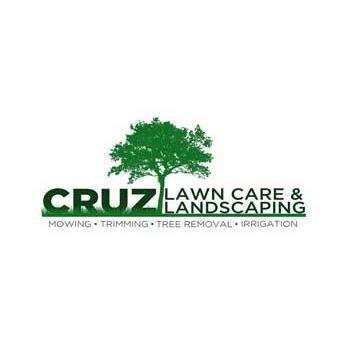 Cruz Tree Solutions and More