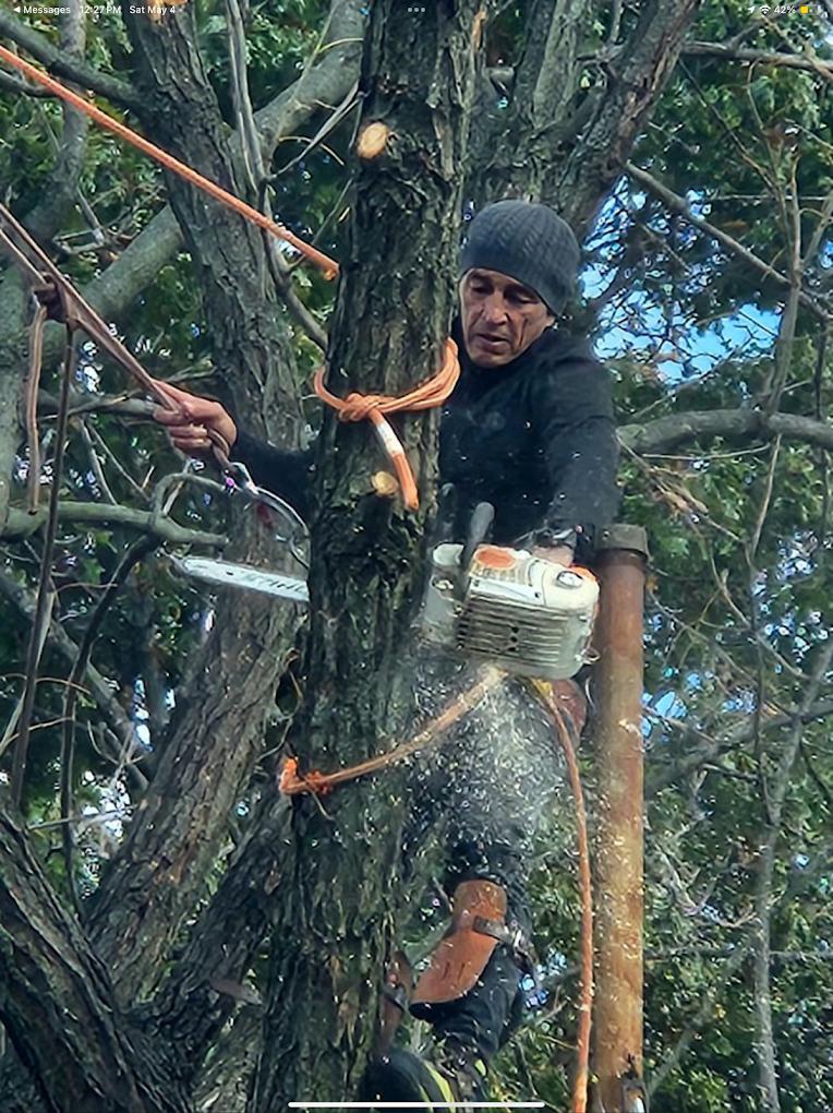 Creative Tree Service