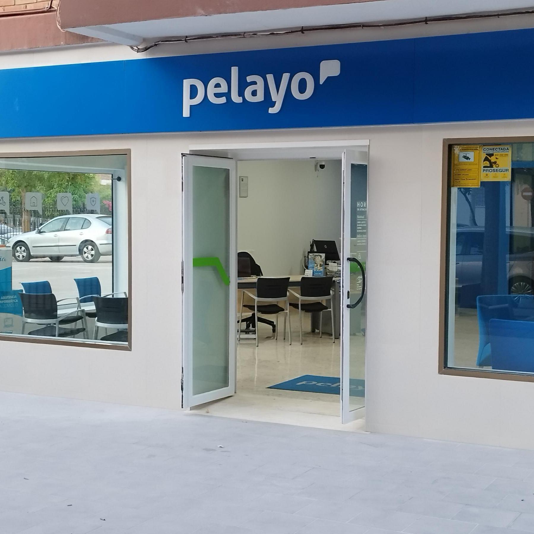 Oficina Seguros Pelayo