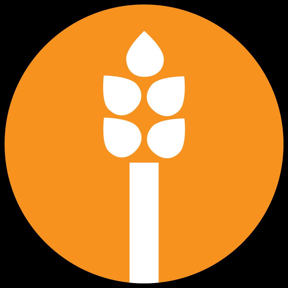 Rice Mediterranean Kitchen