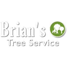 Brian's Tree Service
